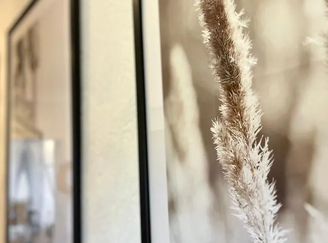 Apartment Stilvolles Mit Ländlichem Ausblick